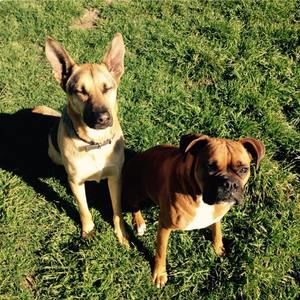 Meet your Posher, Derek